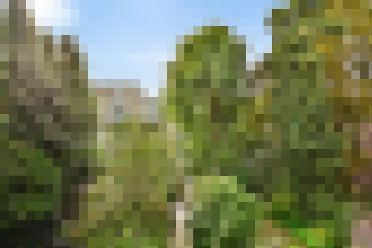 Beukelsweg 54 B Rotterdam thumbnail 34