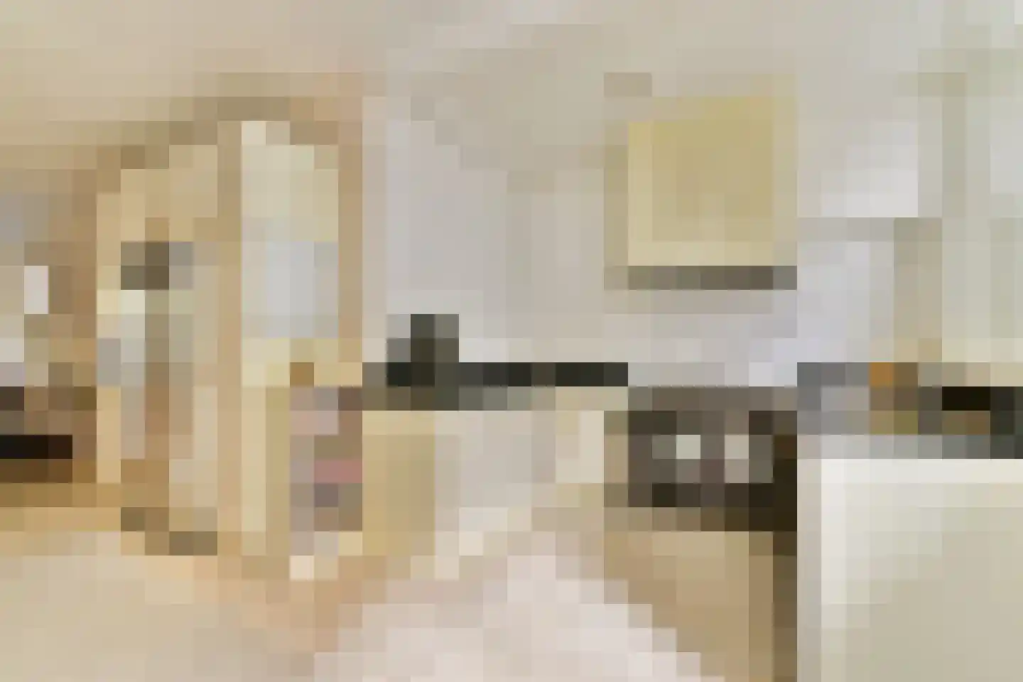 Beukelsweg 54 B Rotterdam thumbnail 5