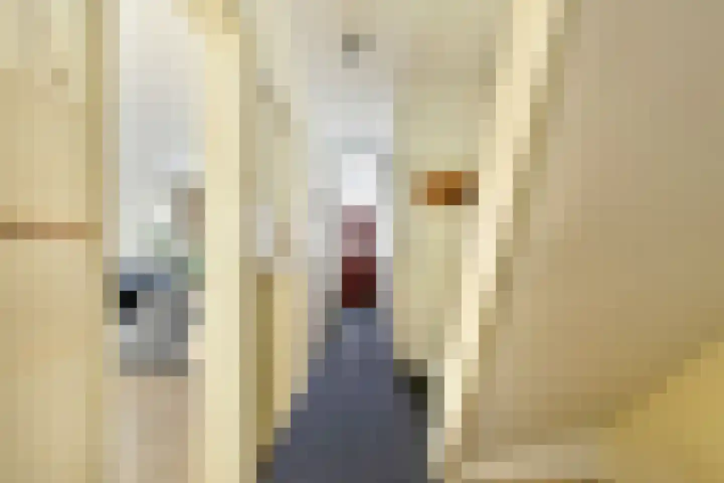 Beukelsweg 54 B Rotterdam thumbnail 8