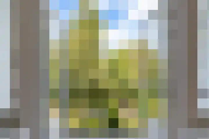 Beukelsweg 61 A Rotterdam thumbnail 6