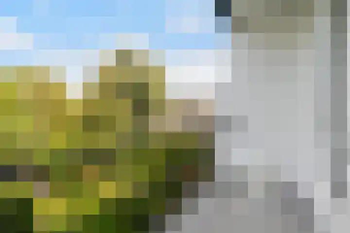 Beukelsweg 61 A Rotterdam thumbnail 7
