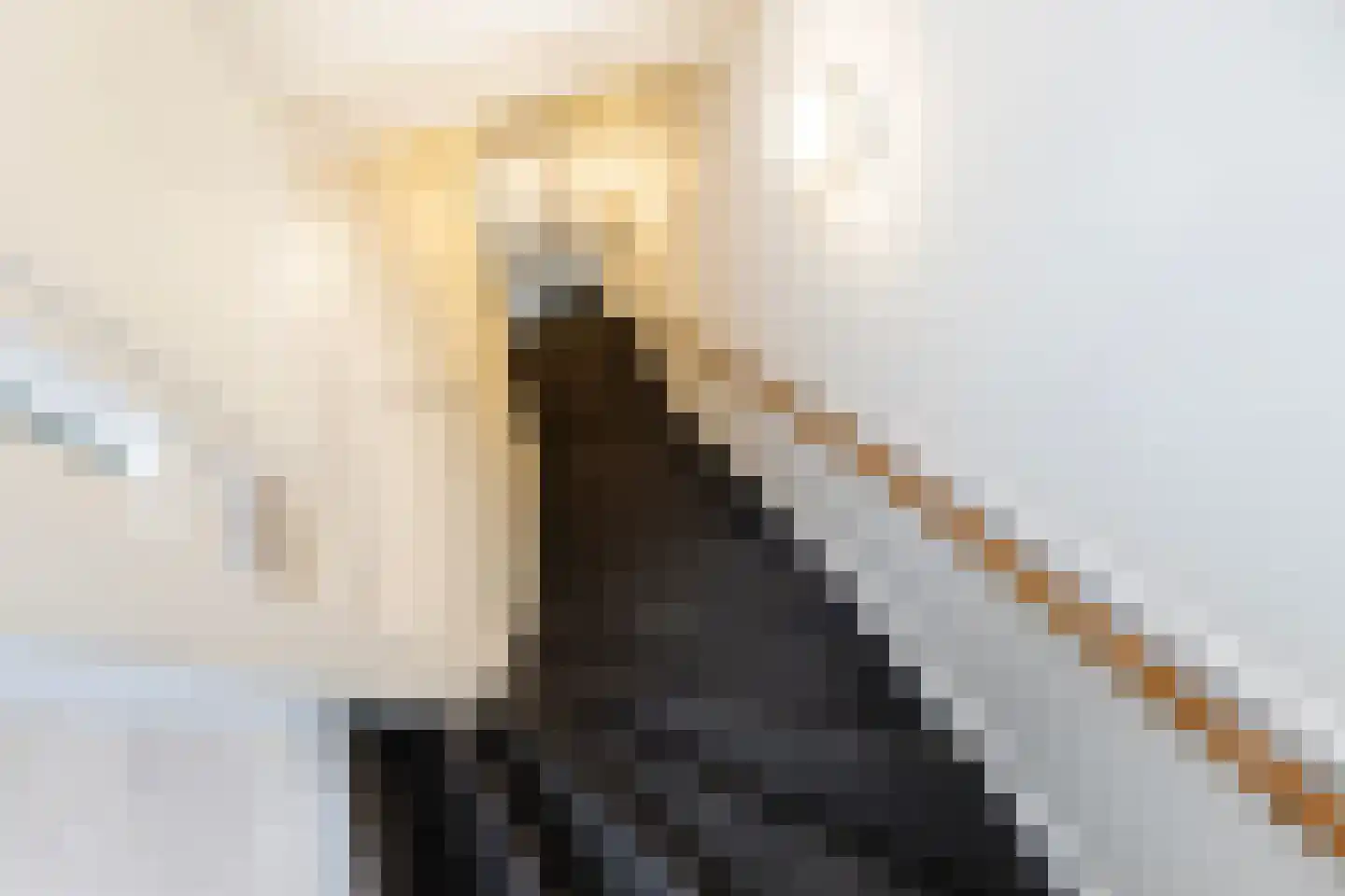 Beukelsweg 69 B 01 Rotterdam thumbnail 13