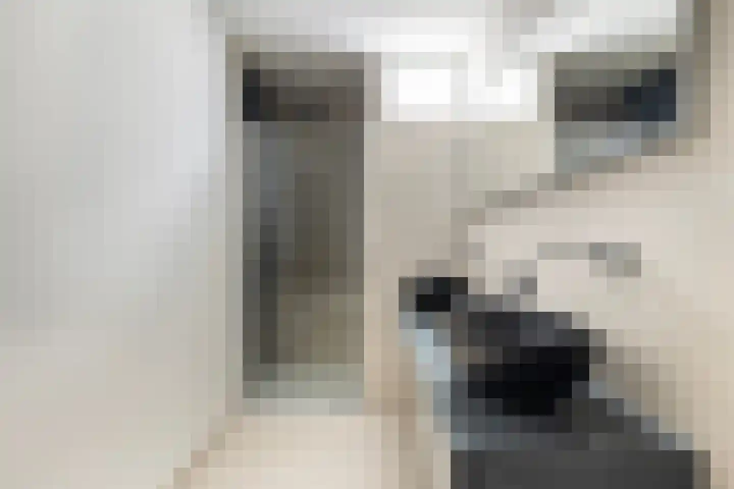 Beukelsweg 69 B 02 Rotterdam thumbnail 15