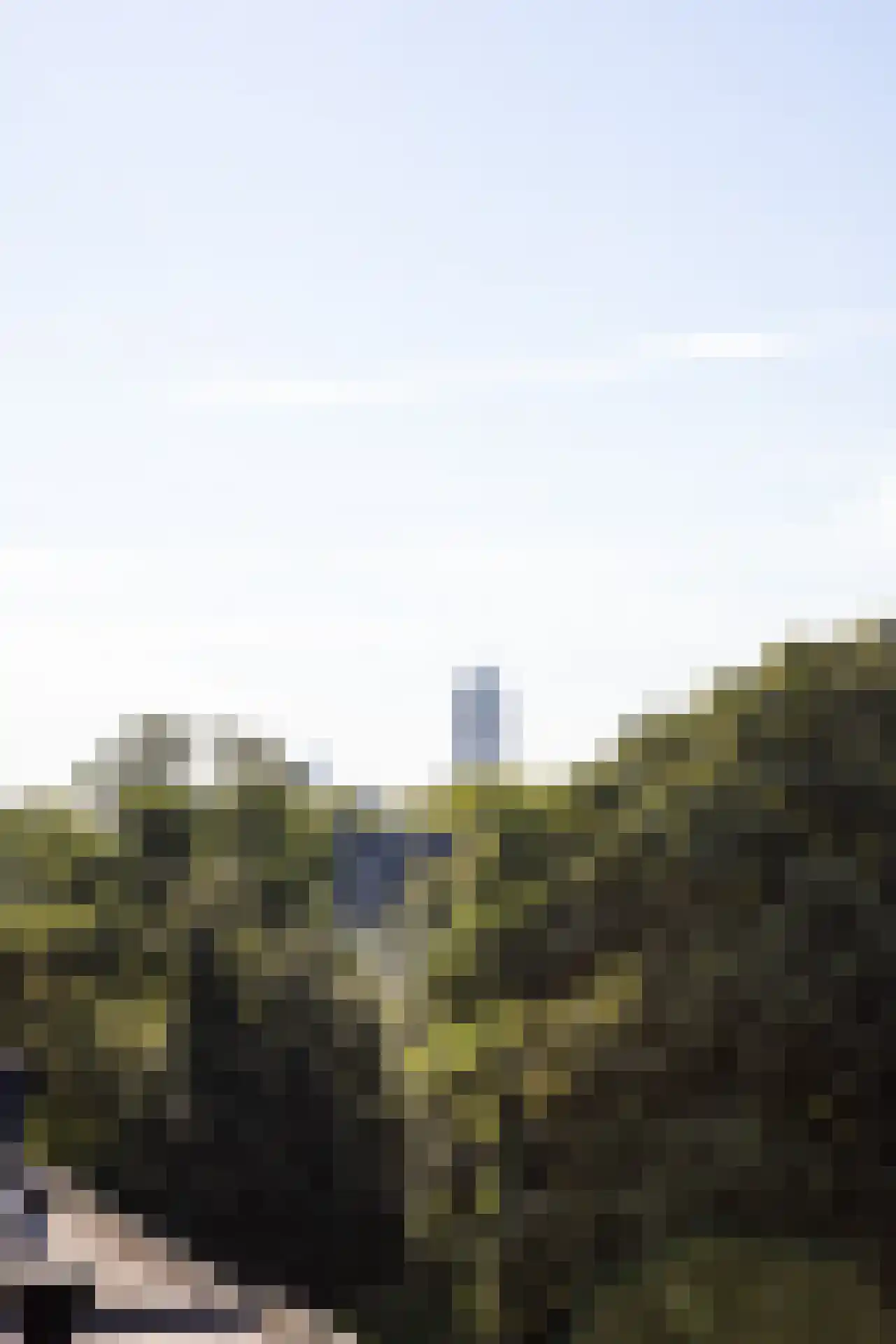 Beukelsweg 74 A Rotterdam thumbnail 21