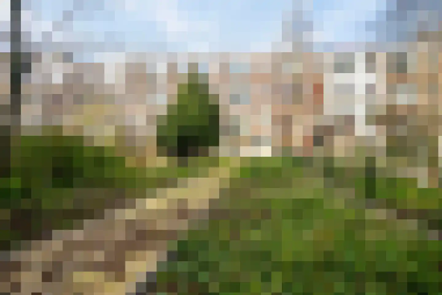 Beukelsweg 78 A Rotterdam thumbnail 26