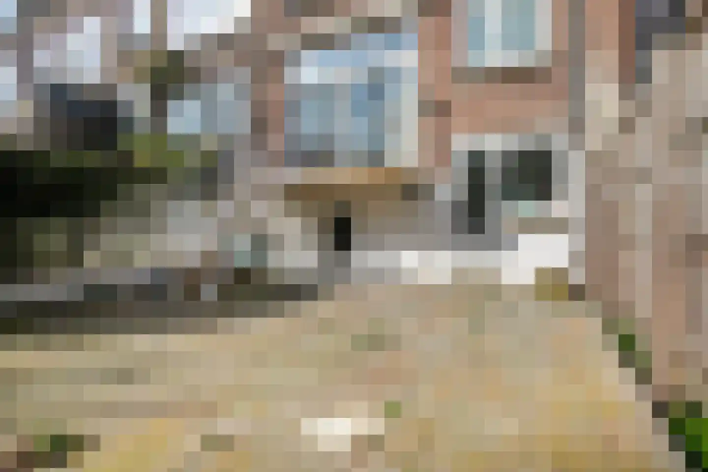 Beukelsweg 78 A Rotterdam thumbnail 28