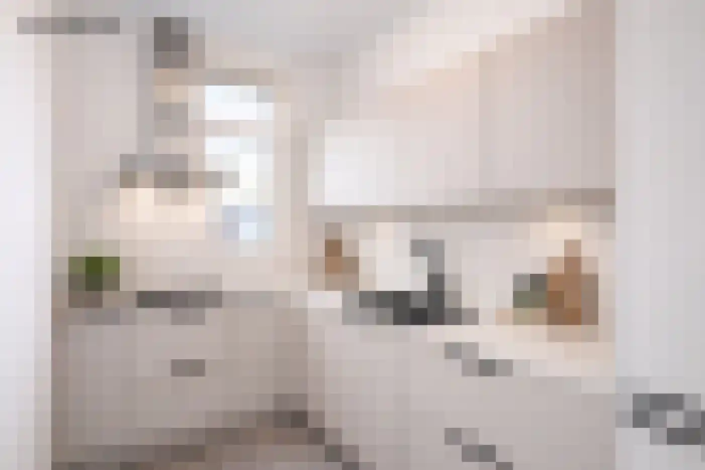 Beukelsweg 83 A 03 Rotterdam thumbnail 11