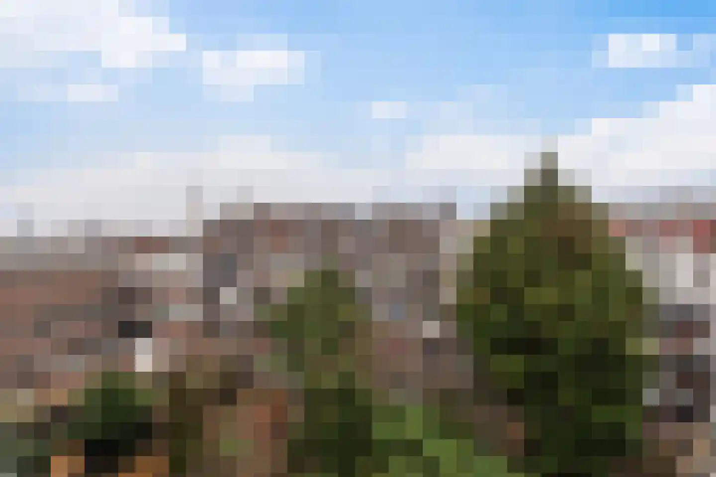 Beukelsweg 83 B Rotterdam thumbnail 29