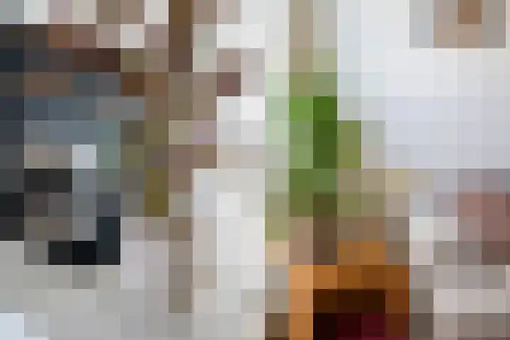 Beukelsweg 84 B Rotterdam thumbnail 10