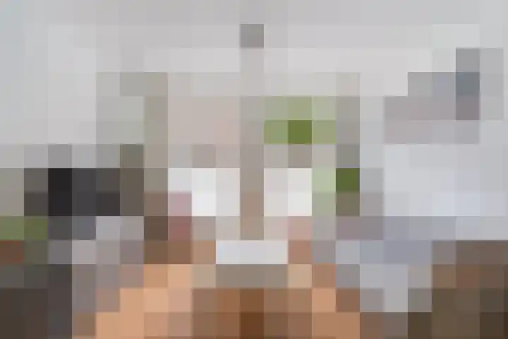 Beukelsweg 84 B Rotterdam thumbnail 11
