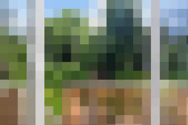 Beukelsweg 84 B Rotterdam thumbnail 17