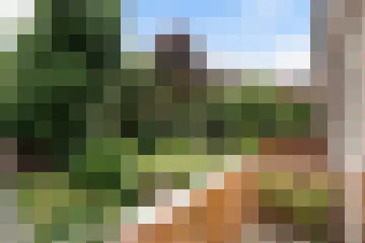Beukelsweg 84 B Rotterdam thumbnail 18