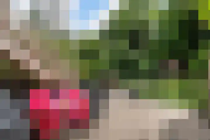 Beukelsweg 84 B Rotterdam thumbnail 21