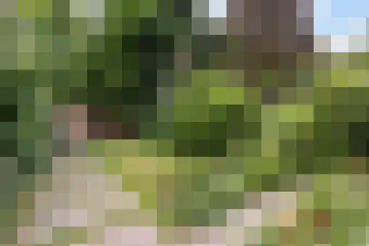 Beukelsweg 84 B Rotterdam thumbnail 22