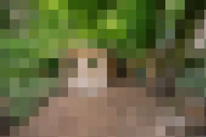 Beukelsweg 84 B Rotterdam thumbnail 23