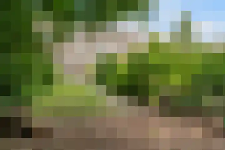 Beukelsweg 84 B Rotterdam thumbnail 24