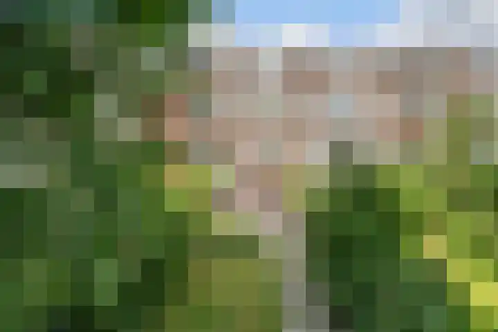 Beukelsweg 84 B Rotterdam thumbnail 25