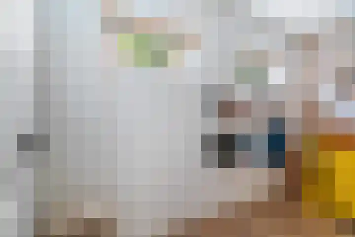 Beukelsweg 84 B Rotterdam thumbnail 30