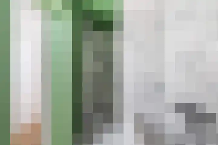 Beukelsweg 84 B Rotterdam thumbnail 34