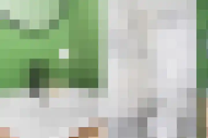 Beukelsweg 84 B Rotterdam thumbnail 35