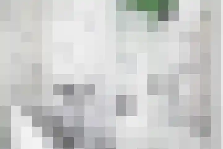 Beukelsweg 84 B Rotterdam thumbnail 36