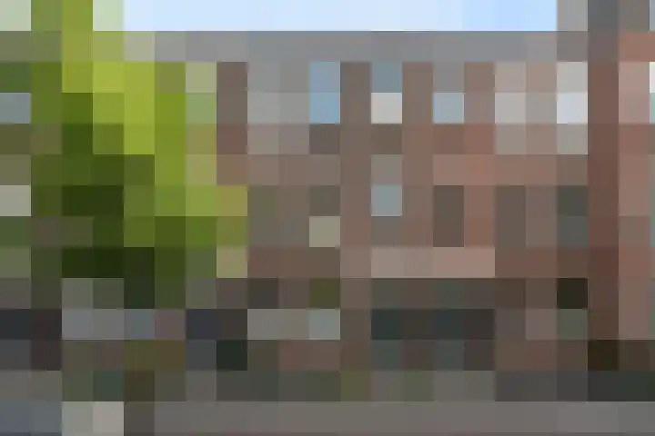 Beukelsweg 84 B Rotterdam thumbnail 4