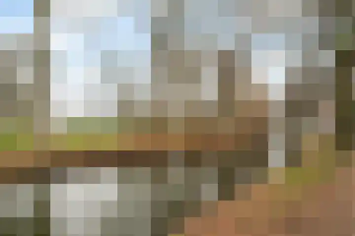 Beukelsweg 84 B Rotterdam thumbnail 45