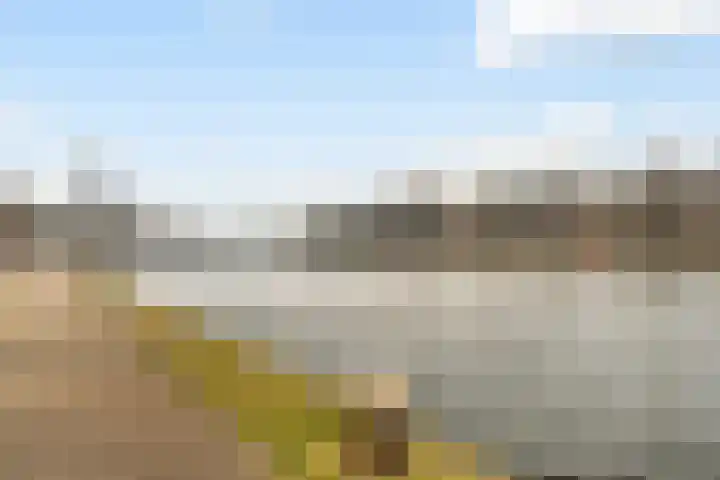 Beukelsweg 84 B Rotterdam thumbnail 46