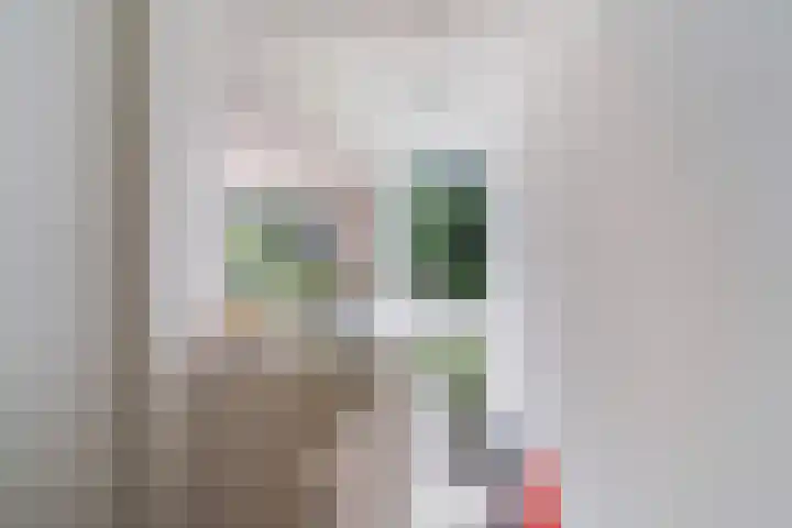 Beukelsweg 84 B Rotterdam thumbnail 5