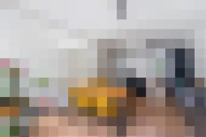 Beukelsweg 84 B Rotterdam thumbnail 6