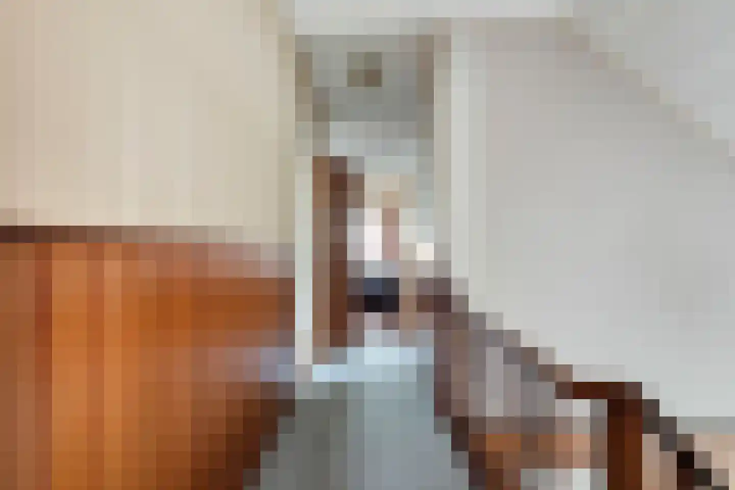 Beukelzstraat 27 Clinge thumbnail 26