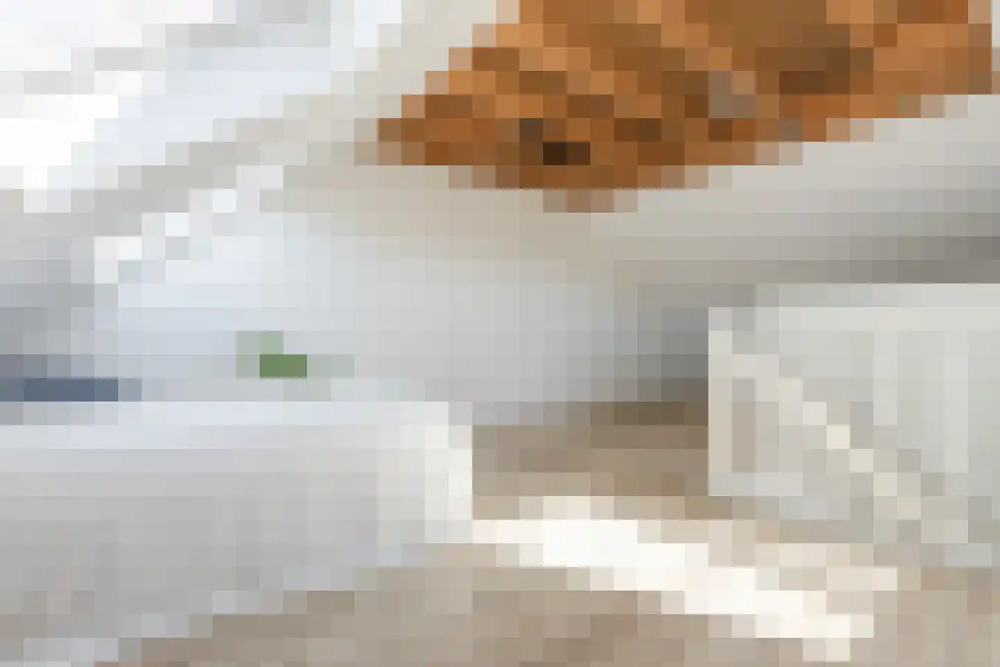 Beukemaplein 45 Hoogeveen thumbnail 46