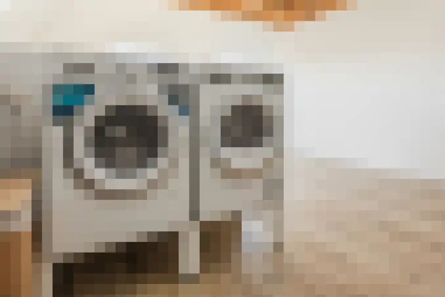 Beukemaplein 45 Hoogeveen thumbnail 48