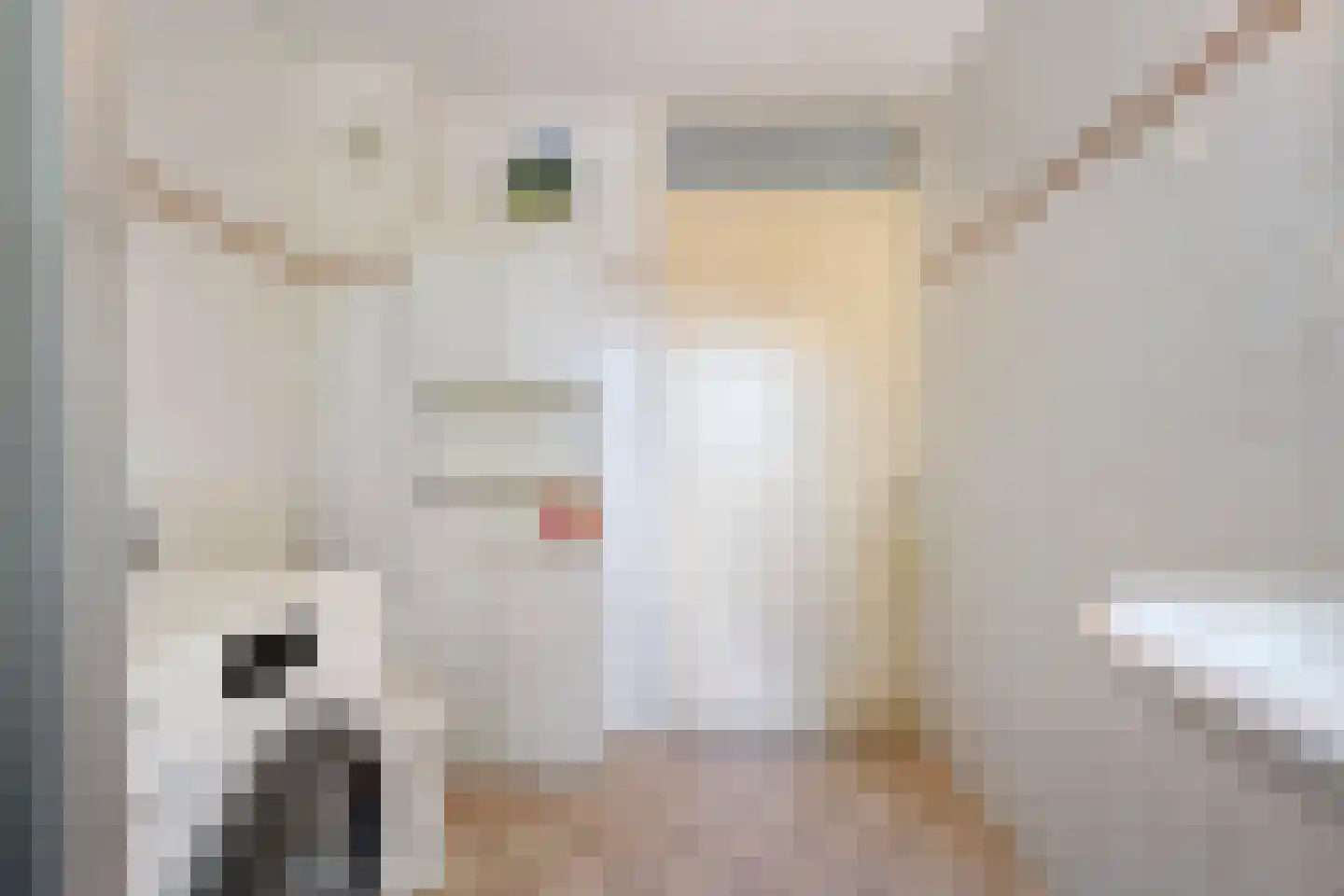 Beukemastraat 39 Hoogeveen thumbnail 18