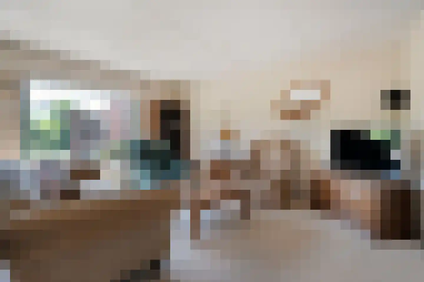 Beukemastraat 39 Hoogeveen thumbnail 4