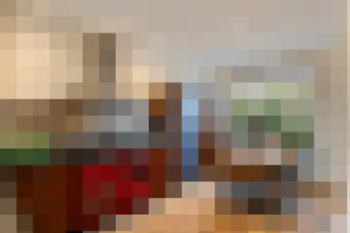 Beukenallee 69 Zwolle thumbnail 10
