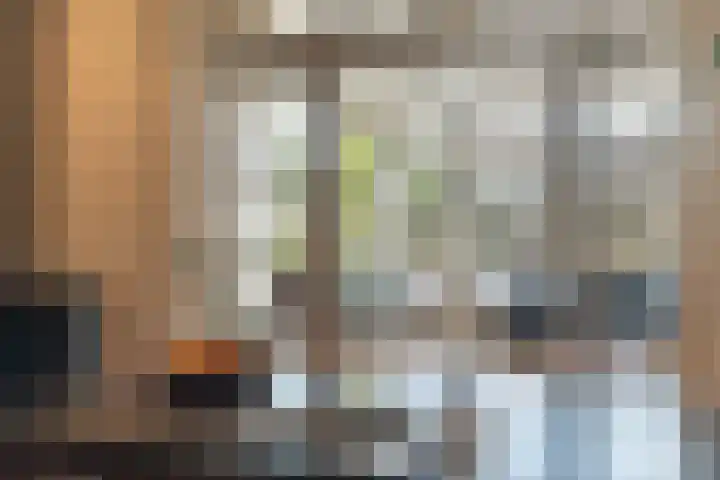 Beukenallee 69 Zwolle thumbnail 12
