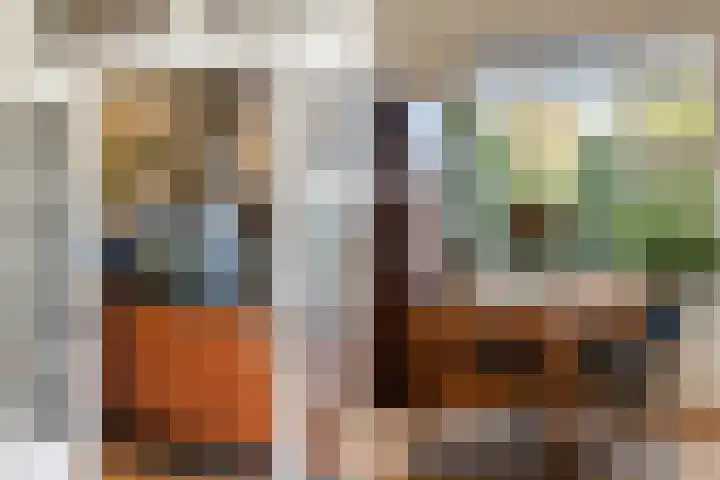 Beukenallee 69 Zwolle thumbnail 13