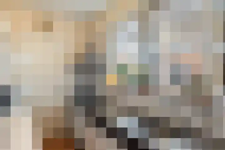 Beukenallee 69 Zwolle thumbnail 15