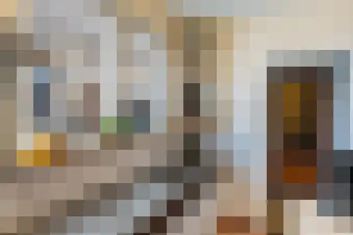 Beukenallee 69 Zwolle thumbnail 16