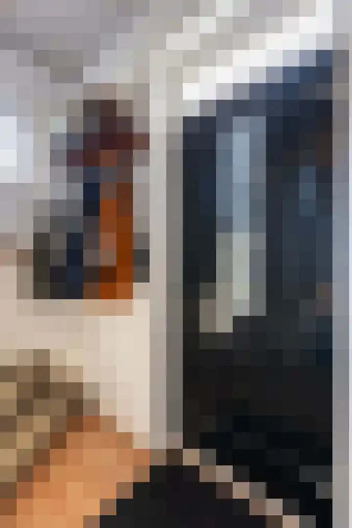 Beukenallee 69 Zwolle thumbnail 17