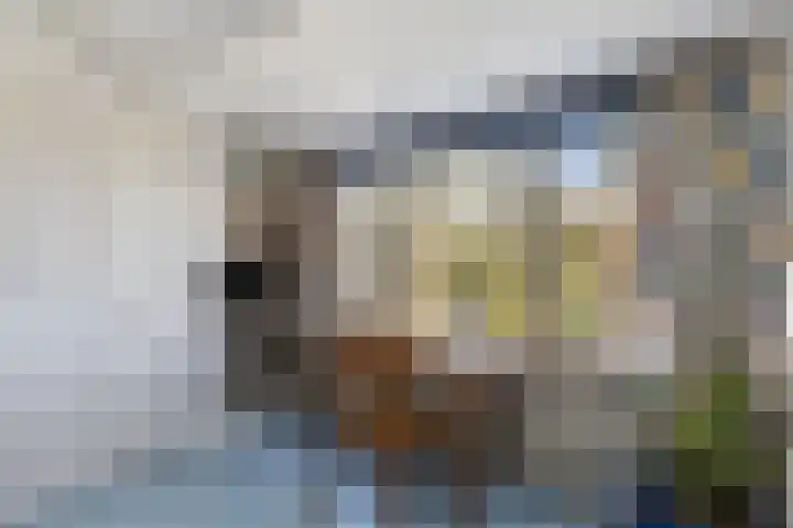 Beukenallee 69 Zwolle thumbnail 19