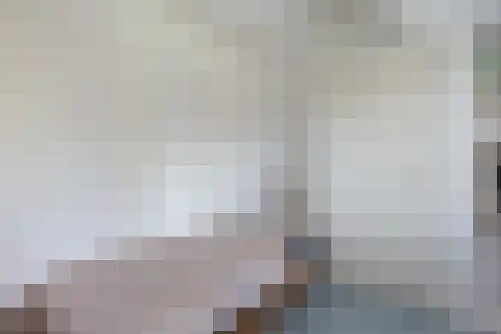Beukenallee 69 Zwolle thumbnail 20