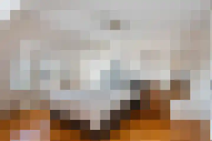 Beukenallee 69 Zwolle thumbnail 25