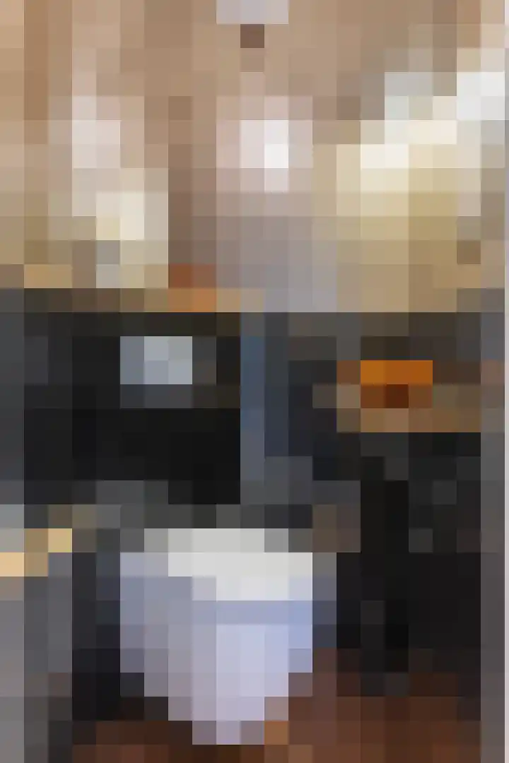 Beukenallee 69 Zwolle thumbnail 27