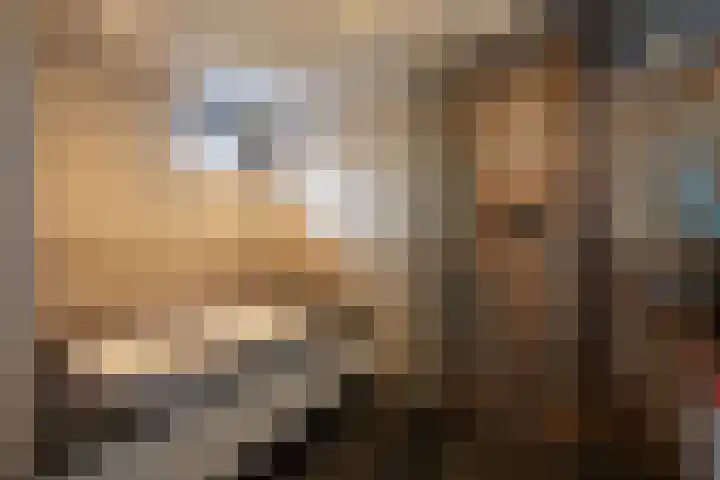 Beukenallee 69 Zwolle thumbnail 31