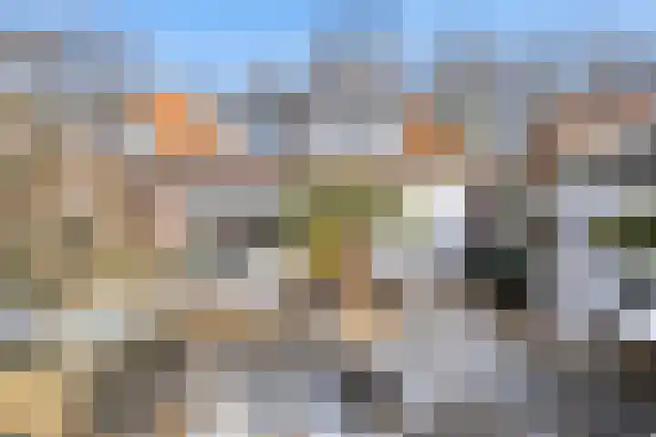 Beukenallee 69 Zwolle thumbnail 32