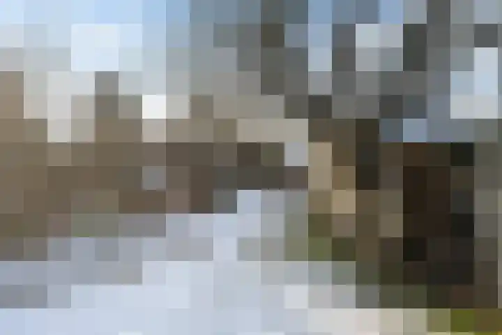 Beukenallee 69 Zwolle thumbnail 34