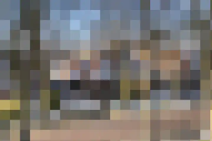 Beukenallee 69 Zwolle thumbnail 36