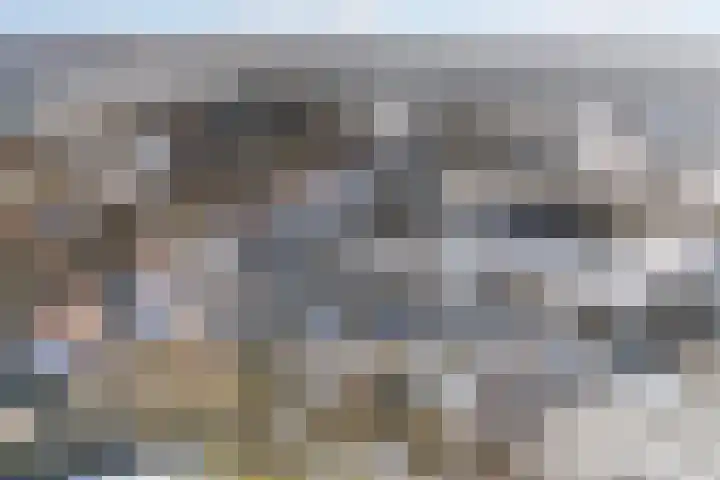 Beukenallee 69 Zwolle thumbnail 38